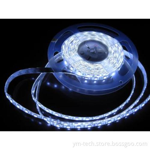 12V 60 LED 5050 Waterproof Flexible LED Strip